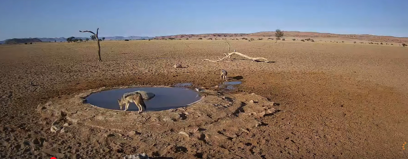 Namib Desert tv